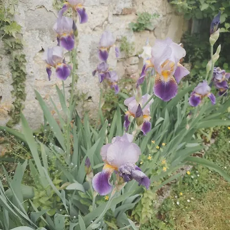 Longere De Charme Au 펜션